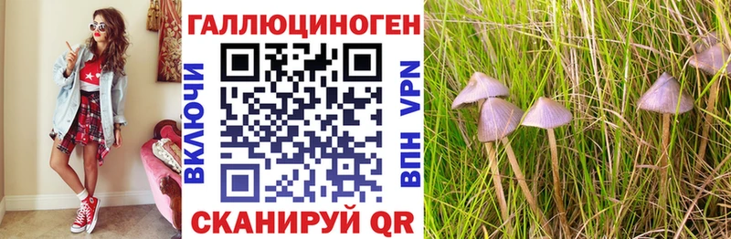 Галлюциногенные грибы ЛСД Лесной