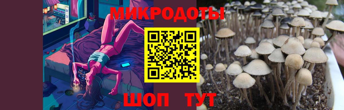 Галлюциногенные грибы мухоморы  Галлюциногенные грибы Cubensis  Вход с VPN  Лесной 